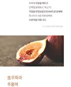 Fig Boosting Essence - 150ml
