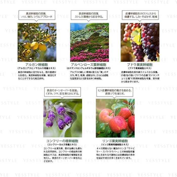 Premium Aging Care Essence - 30ml