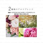 Premium Aging Care Essence - 30ml