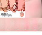 too cool for school Artclass By Rodin Blusher - 6 Types - De Ginger