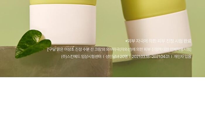 Heartleaf Calming Moisture Sun Cream - 50ml