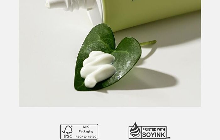 Heartleaf Calming Moisture Sun Cream - 50ml