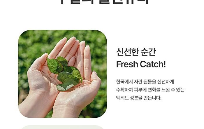 Heartleaf Calming Moisture Sun Cream - 50ml