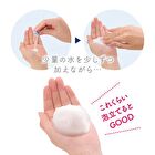 Suisai Beauty Clear Powder Wash N - 15 pcs