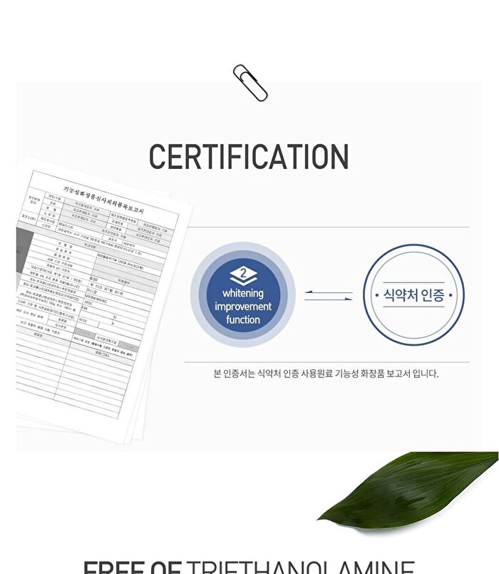 TTM Mask - 3 Types - #01 Jade Aqua