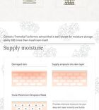 Real Ampoule Mask Set - 2 Types - #01 Houttuynia Cordata