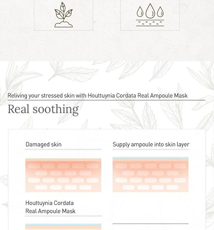 Real Ampoule Mask Set - 2 Types - #01 Houttuynia Cordata