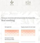 Real Ampoule Mask Set - 2 Types - #01 Houttuynia Cordata
