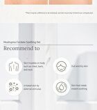 Real Soothing Gel - 2 Types - #01 Houttuynia Cordata