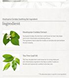 Real Soothing Gel - 2 Types - #01 Houttuynia Cordata
