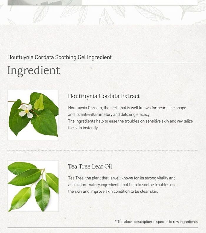 Real Soothing Gel - 2 Types - #02 Snow Mushroom