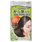Blaune Aroma & Gloss Hair Color Cream - 3 Bright Light Brown