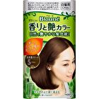 Blaune Aroma & Gloss Hair Color Cream - 6 Dark Brown