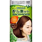 Blaune Aroma & Gloss Hair Color Cream - 6 Dark Brown