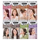 Blaune Bubble Hair Color - 2G Latte Graige