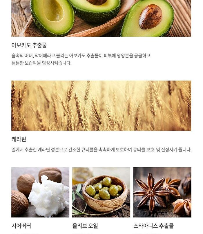 Bloomy Hand Cream - 4 Types - #02 Eucalyptus