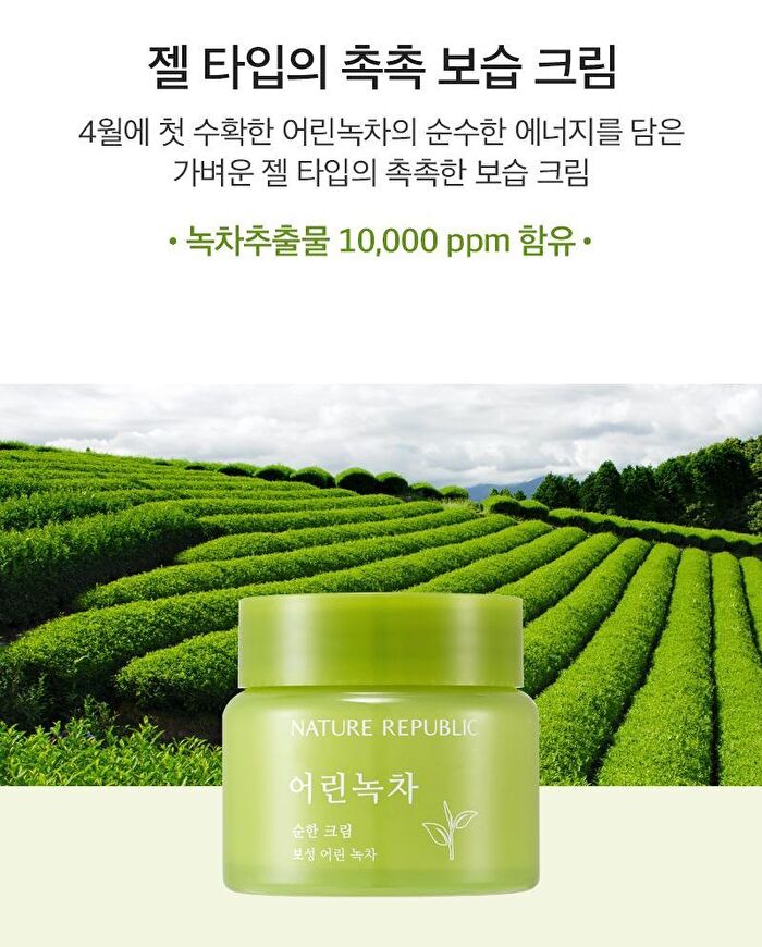 Young Green Tea Mild Cream - 55ml