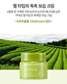 Young Green Tea Mild Cream - 55ml