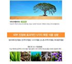 Eco Earth Waterproof Sun Stick - 17g