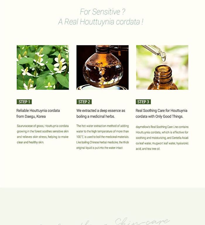 Houttuynia Cordata Real Soothing Essence - 150ml