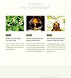 Houttuynia Cordata Real Soothing Essence - 150ml