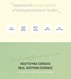 Houttuynia Cordata Real Soothing Essence - 150ml