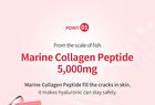 Green Monster Premium Collagen 5000 - 20g x 15 packets
