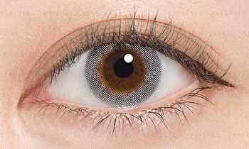N\'S Collection 1 Day Color Lens Lassie 10 pcs - P-2.50 (10 pcs)