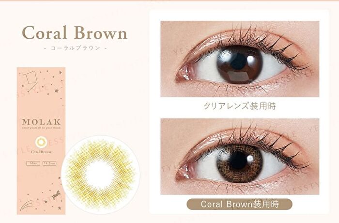 Molak 1 Day Color Lens Coral Brown 10 pcs - P-2.50 (10 pcs)