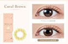 Molak 1 Day Color Lens Coral Brown 10 pcs - P-2.50 (10 pcs)