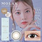 Molak 1 Day Color Lens Mirror Gray 10 pcs - P-2.50 (10 pcs)