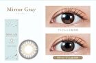 Molak 1 Day Color Lens Mirror Gray 10 pcs - P-2.50 (10 pcs)