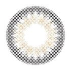 Molak 1 Day Color Lens Mirror Gray 10 pcs - P-2.50 (10 pcs)