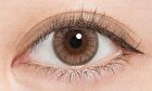 N\'S Collection 1 Day Color Lens Lemonade 10 pcs - P-0.00 (10 pcs)