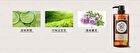 Tsaio Taiwan Tea Bathing Series Shampoo - Sunbath Jinxuan Tea Scalp - 600ml