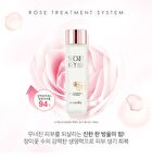 Starting Treatment Essence - Rose Edition 150ml - 2025 Version - 150ml