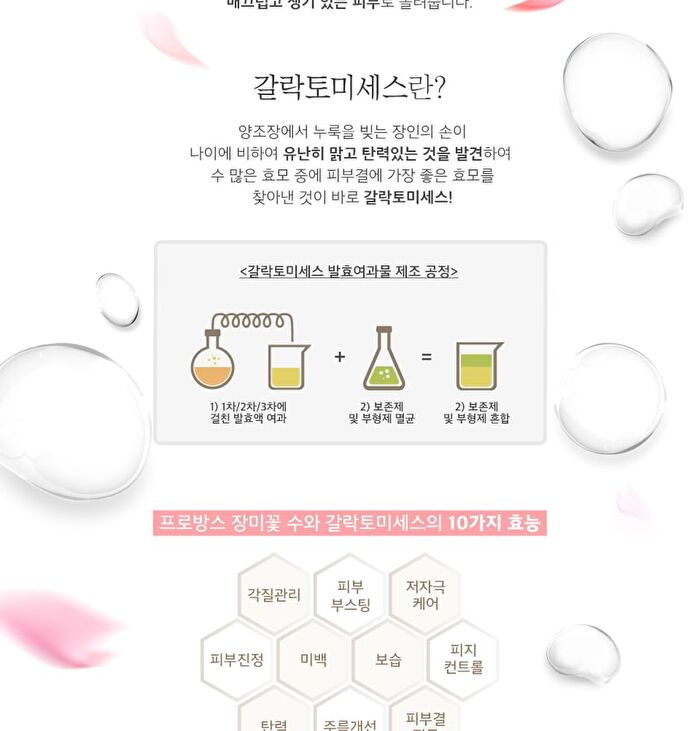 Starting Treatment Essence - Rose Edition 150ml - 2025 Version - 150ml
