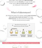 Starting Treatment Essence - Rose Edition 150ml - 2025 Version - 150ml