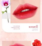 Air Fit Velvet Tint SEASON 6 - 5 Colors - A32 Warm Dahlia Garden