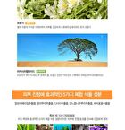 Eco Earth Face & Body Waterproof Sun Cream - 100g