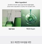 Madeca Toning Essence Treatment - 2025 Version - 300ml