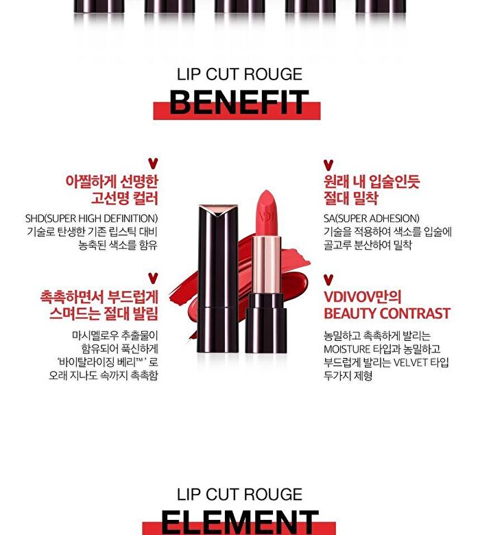 Vdivov Lip Cut Rouge NEW - 3 Colors - RD304 Red Fantasy