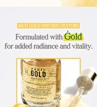 Power Gold Ampoule - 2026 Version - 50ml