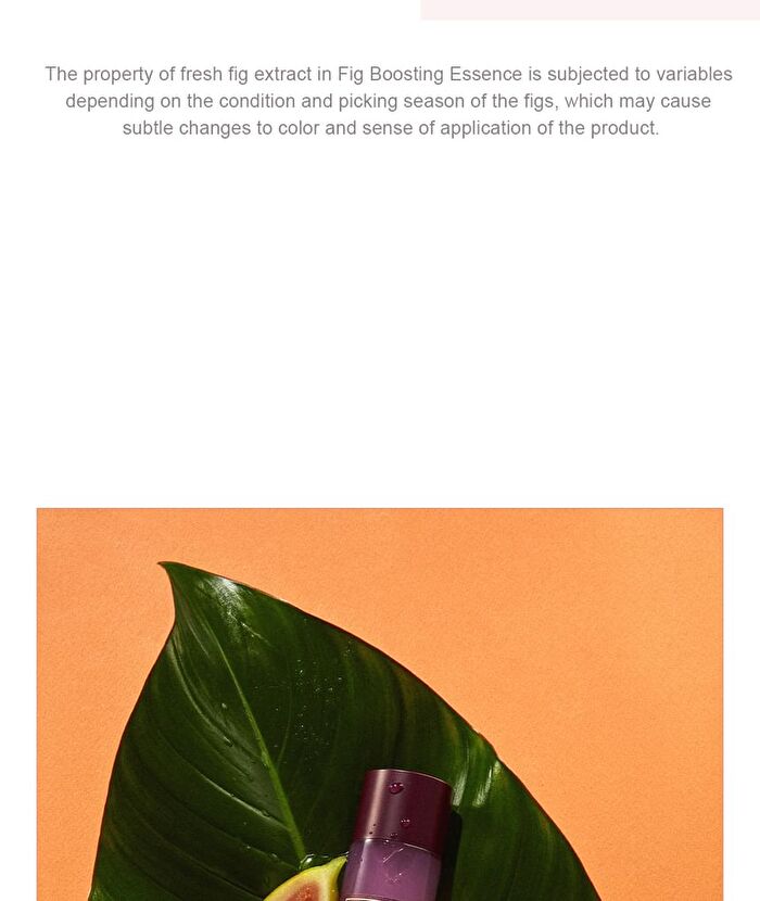 Fig Boosting Essence Mini - 30ml