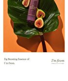 Fig Boosting Essence Mini - 30ml