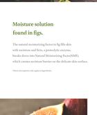 Fig Boosting Essence Mini - 30ml