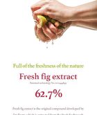 Fig Boosting Essence Mini - 30ml