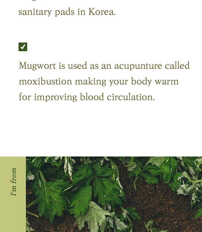I\'m from Mugwort Essence Mini - 30ml