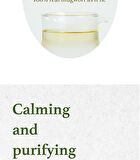 I\'m from Mugwort Essence Mini - 30ml