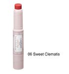 Canmake Stay-On Balm Rouge SPF 11 PA+ - 16 Earl Grey Leaf